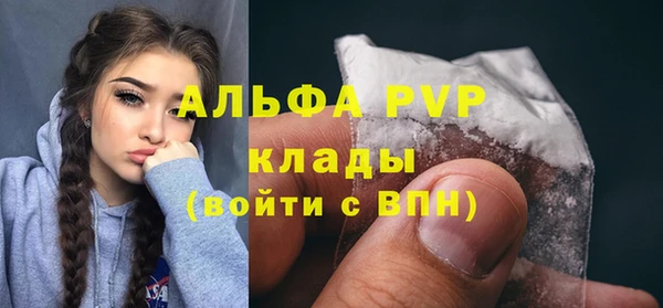 сатива Бронницы