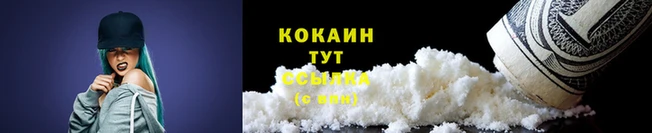 сатива Бронницы