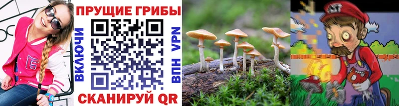 Псилоцибиновые грибы GOLDEN TEACHER  кракен сайт  Ворсма 